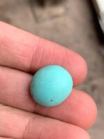 17.15 ct Afghan Turquoise Cabochon – A Gem of History and Heritage - Image 4