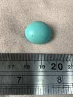 17.15 ct Afghan Turquoise Cabochon – A Gem of History and Heritage - Image 8
