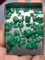 54.70ct Swat Emerald Rough Lot (10x7x8mm): Natural Green Crystals for Cutting or Collection - Image 8