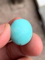 17.15 ct Afghan Turquoise Cabochon – A Gem of History and Heritage - Image 9
