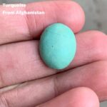 11.80ct Afghan Turquoise Cabochon: Small Yet Striking