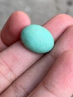 11.80ct Afghan Turquoise Cabochon: Small Yet Striking - Image 3