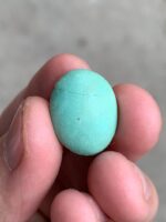11.80ct Afghan Turquoise Cabochon: Small Yet Striking - Image 7