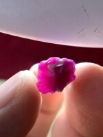 Experience the Earth’s Natural Elegance: 6.40ct Afghan Ruby Crystal - Image 7