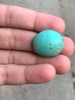 32.74ct Afghan Turquoise Cabochon: Bold Size Meets Refined Elegance - Image 2
