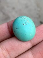 32.74ct Afghan Turquoise Cabochon: Bold Size Meets Refined Elegance - Image 3