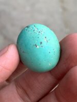 32.74ct Afghan Turquoise Cabochon: Bold Size Meets Refined Elegance - Image 5
