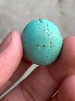 32.74ct Afghan Turquoise Cabochon: Bold Size Meets Refined Elegance - Image 7