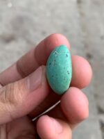 32.74ct Afghan Turquoise Cabochon: Bold Size Meets Refined Elegance - Image 10