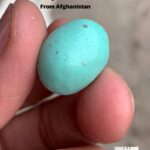14.80 ct Afghan Turquoise Cabochon: A Softly Shaped Gem With Classic Afghan Character