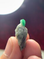 Unveiling the Beauty of a 24.35ct Emerald Specimen: 24.68 x 18.69 x 9.45mm - Image 3