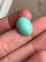 14.80 ct Afghan Turquoise Cabochon: A Softly Shaped Gem With Classic Afghan Character - Image 4