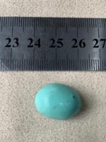 14.80 ct Afghan Turquoise Cabochon: A Softly Shaped Gem With Classic Afghan Character - Image 7
