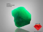 12.55ct Swat Emerald Crystal – A Rare Giant from Pakistan’s Emerald Valley