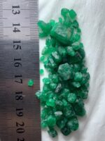 80.00ct Swat Emerald Rough Lot (10x9x6mm): Untreated Natural Crystals from Pakistan’s Emerald Region - Image 9