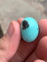 Rare 22.02 ct Afghan Turquoise Cabochon – 23.02 × 17.20 × 10.20 mm - Image 2