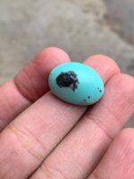 Rare 22.02 ct Afghan Turquoise Cabochon – 23.02 × 17.20 × 10.20 mm - Image 4