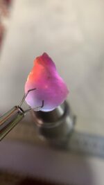 Natural 11.15ct Hackmanite Crystal from Afghanistan - Image 4