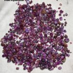 1348 ct Afghan Ruby Rough Lot — Magnificent Gems from the Heart of Afghanistan