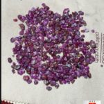 Afghan Ruby Rough Lot – 1160 Carats Overview