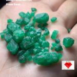 57.30ct Swat Emerald Rough Lot (19x7x6mm): Long Natural Crystals with Deep Green