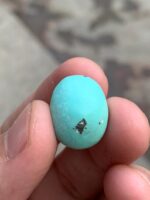 14.57 Carat Afghan Turquoise Gemstone, Vivid Blue Hue - Image 3