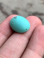 14.57 Carat Afghan Turquoise Gemstone, Vivid Blue Hue - Image 4