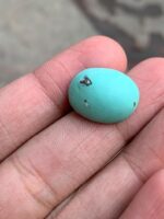 14.57 Carat Afghan Turquoise Gemstone, Vivid Blue Hue - Image 7