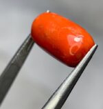 8.35ct Natural Coral Gemstone: Jewelry Making Stone (16.88mm) - Image 3