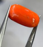 8.35ct Natural Coral Gemstone: Jewelry Making Stone (16.88mm) - Image 4