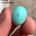 16.90 ct Afghan Turquoise Cabochon: A Tall, Elegant Dome With Timeless Character