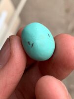 16.90 ct Afghan Turquoise Cabochon: A Tall, Elegant Dome With Timeless Character - Image 3