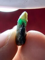 7.50ct Natural Emerald Crystal – Laghman, Afghanistan - Image 4