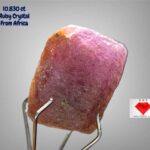10.830ct African Ruby Crystal – Stunning Natural Corundum with Rich Red