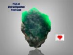 146.5 ct Emerald Specimen from Swat Valley (43.71 × 33.28 × 16.84 mm): A Giant of Nature
