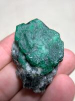 146.5 ct Emerald Specimen from Swat Valley (43.71 × 33.28 × 16.84 mm): A Giant of Nature - Image 5