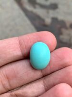 Discover the Beauty of Afghan Turquoise: 12.80 ct Gemstone - Image 2