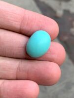Discover the Beauty of Afghan Turquoise: 12.80 ct Gemstone - Image 5