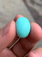 Discover the Beauty of Afghan Turquoise: 12.80 ct Gemstone - Image 10
