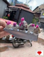 372 Carat Afghan Ruby Specimens – Majestic Natural