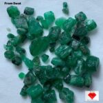 52.65ct Swat Emerald Rough Lot – Vivid Green Natural (11x8x6 mm)