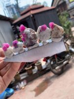 372 Carat Afghan Ruby Specimens – Majestic Natural - Image 9
