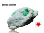 226.60ct Emerald Specimen – A Museum-Grade Crystal with Striking Size and Color