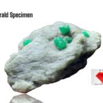 226.60ct Emerald Specimen – A Museum-Grade Crystal with Striking Size and Color