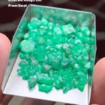 55.94 ct Swat Emerald Rough Lot – Strength, Size, and Natural Character