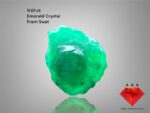 11.01 ct Swat Emerald Crystal – Nature’s Bold Masterpiece