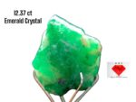 Brilliant 12.37ct Swat Emerald Crystal – A Pristine Gem from Pakistan’s Treasure Valley