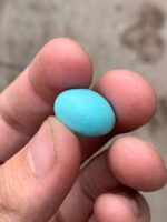 A Refined 11.67-Carat Afghan Turquoise: Elegance in a Perfectly Balanced Form - Image 6