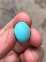 A Refined 11.67-Carat Afghan Turquoise: Elegance in a Perfectly Balanced Form - Image 7