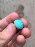 11.62-Carat Afghan Turquoise: A Compact Gem of Rich Color and Elegance - Image 3